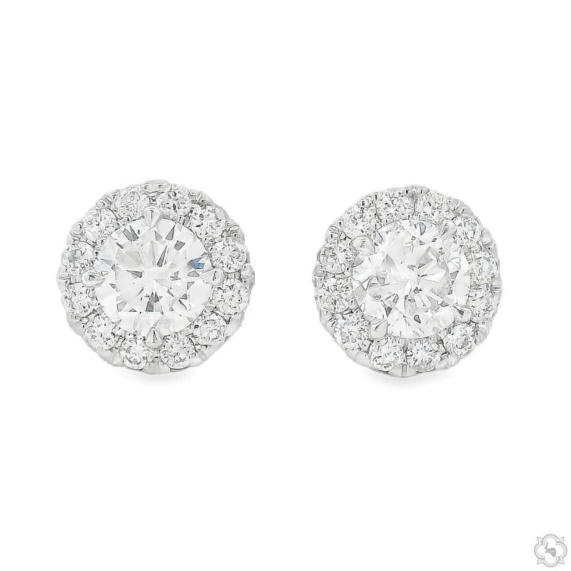 Round halo diamond stud earrings in white gold – front-facing view showing center stone and accent halo