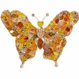 Butterfly Collection