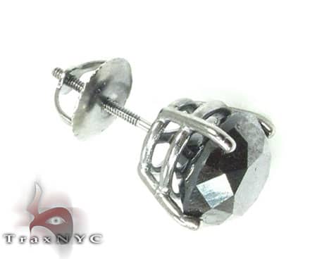 XL Single Royal Stud 17031 - Image 2