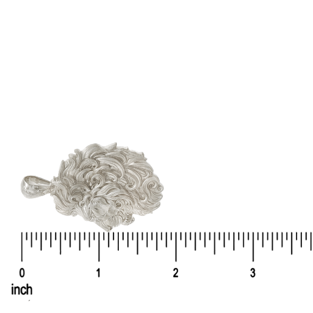 Intricately detailed silver lion head pendant with flowing mane, elegant and masculine design.