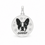 Celestial Companion Pendant 71445