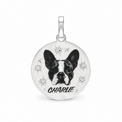 Celestial Companion Pendant 71445