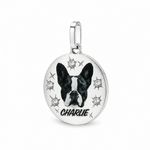 Celestial Companion Pendant 71445
