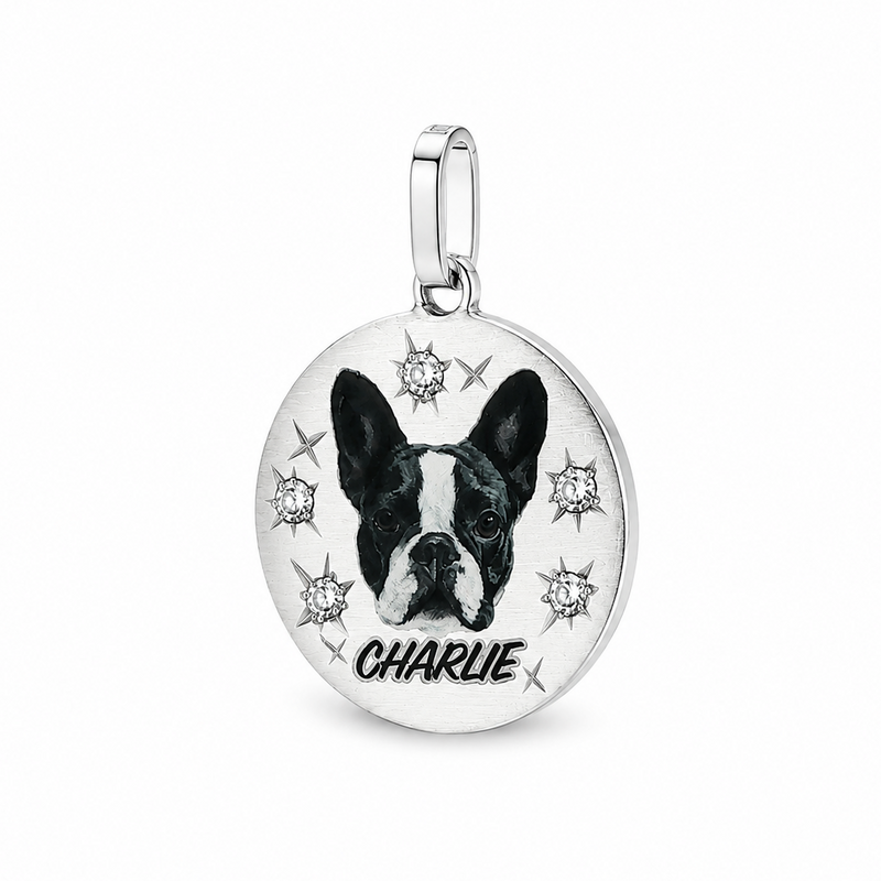 Celestial Companion Pendant 71445