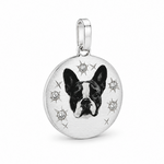 Celestial Companion Pendant 71445