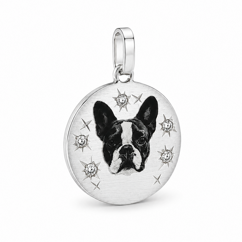 Celestial Companion Pendant 71445