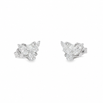 14K Gold Bull Studs Earrings 71370
