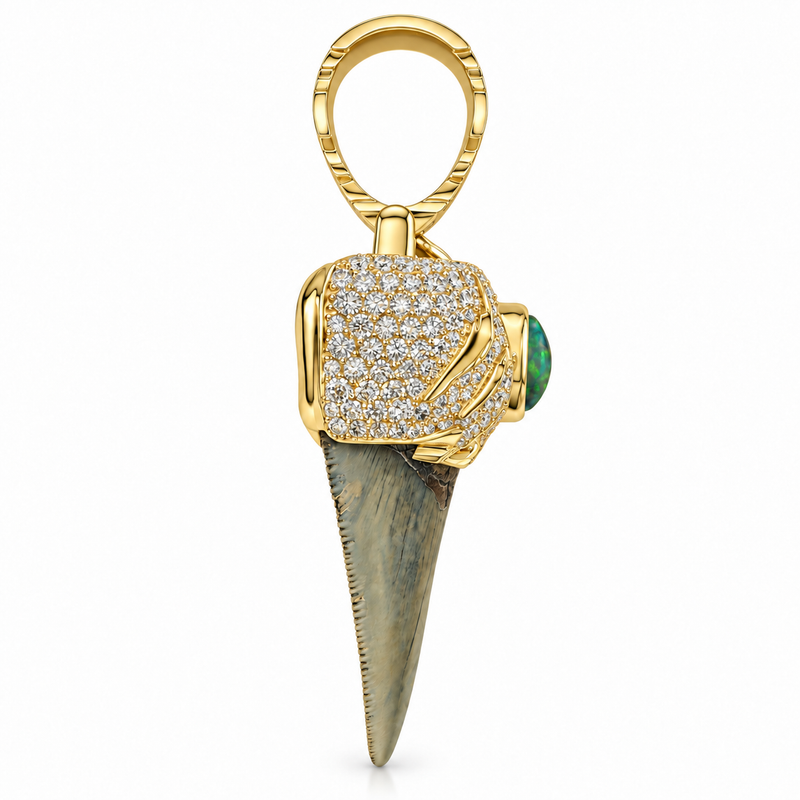 Megalodon Tooth Pendant 71857