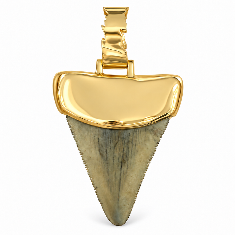Megalodon Tooth Pendant 71857
