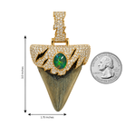 Megalodon Tooth Pendant 71857