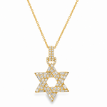 David Star Necklace 71828
