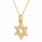 David Star Necklace 71828