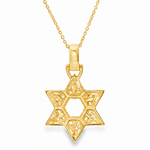 David Star Necklace 71828
