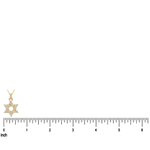 David Star Necklace 71828