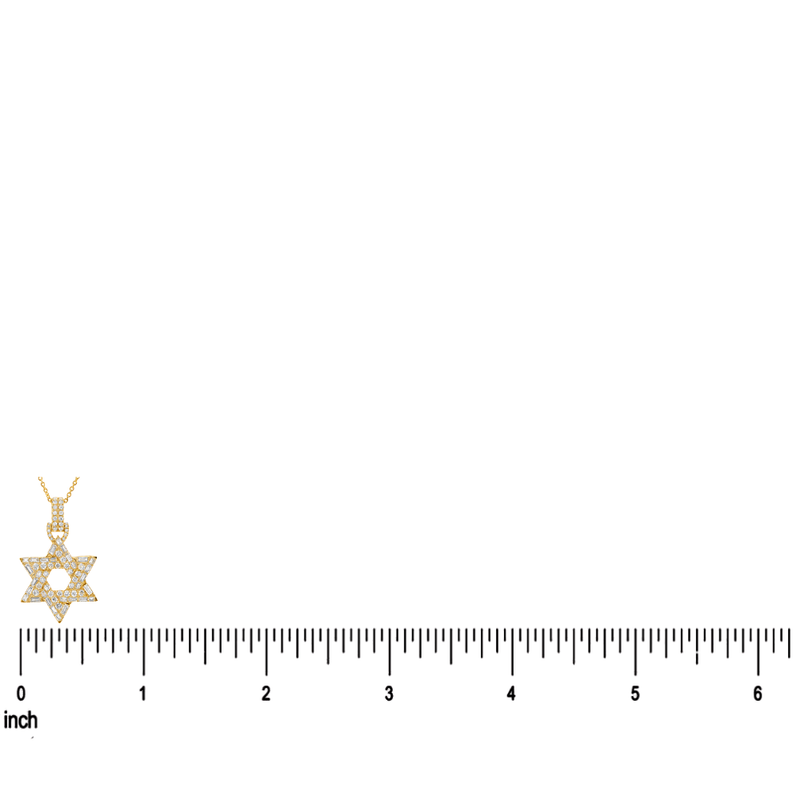 David Star Necklace 71828