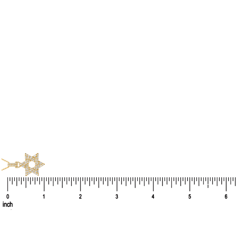 David Star Necklace 71828