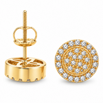 Diamond Earrings 10867