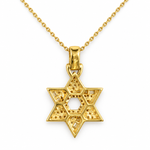 Divine Light David Star Necklace 71831
