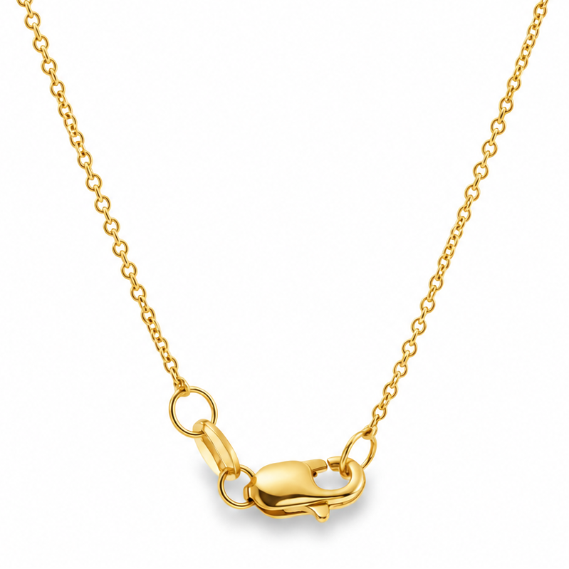 Divine Light David Star Necklace 71831