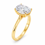 14K gold elongated cushion lab grown diamond engagement ring with a 2.50 carat center stone, four-prong cathedral setting, and slim 2.00mm band.