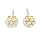 Enchanting Floral Diamond Earrings 65955