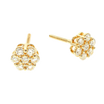 Enchanting Floral Diamond Earrings 65955