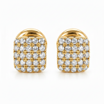 Flash Earrings 18508