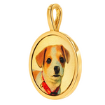 Golden Pet Portrait Pendant 71432