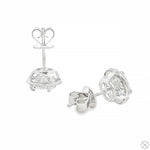 Halo Portuguese Cut Diamond Studs 70866 - Image 6