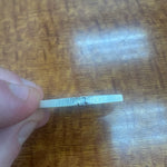 Ashkenazi Clipped 1 Oz Silver Coin 70988 [SOLD OUT]