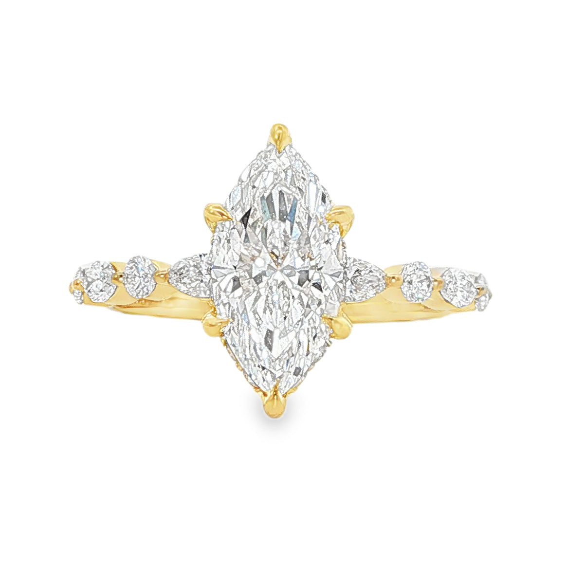 Marquiseくん Monarch R832-3 Marquise | MICHAEL M