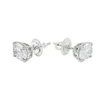 Pair of oval diamond stud earrings with cluster setting in white gold prong mount