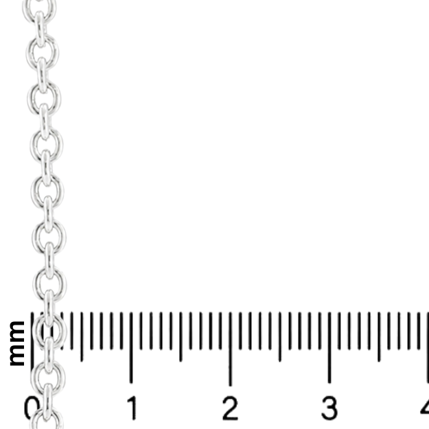 Palladium Silver Rolo Chain 3.6mm 71447