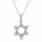 Rotated Radiance David Star Necklace 71830