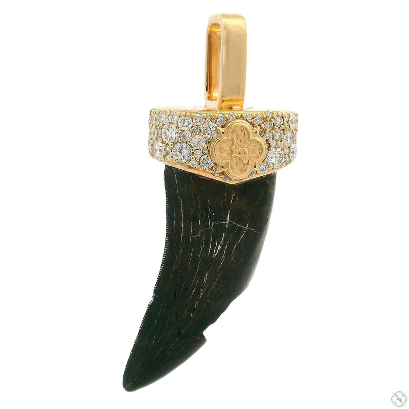 14K Gold T-Rex Broken Fossil Pendant, photo 5 of 10