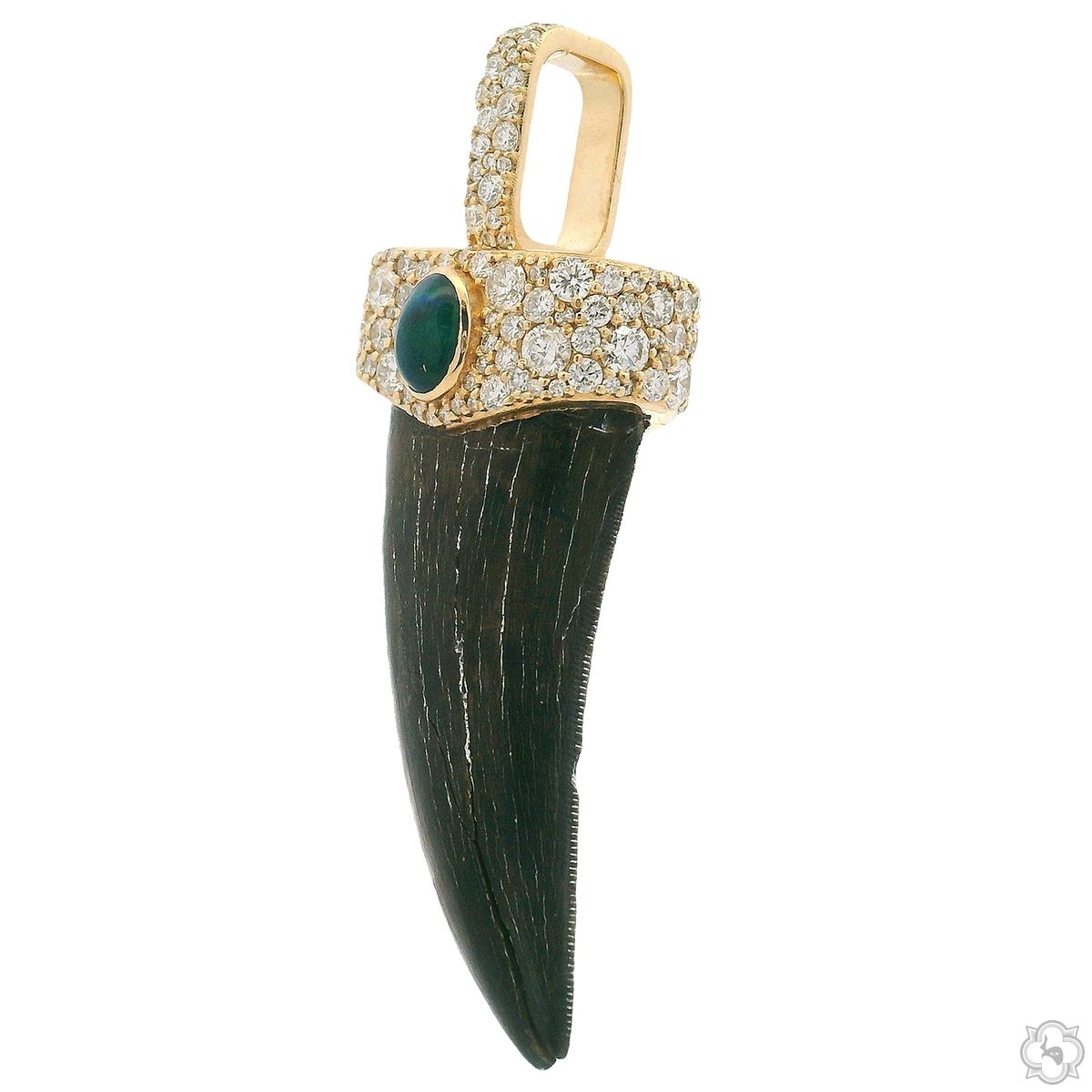 T-Rex Broken Fossil Pendant 70890 | TraxNYC