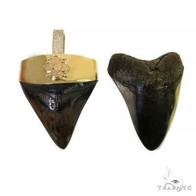 The Time Travel Megalodon Shark Tooth Pendant 68200 - Image 1