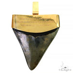 The Time Travel Megalodon Shark Tooth Pendant 68200 - Image 5