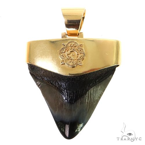 The Time Travel Megalodon Shark Tooth Pendant Small 68891 - Image 1