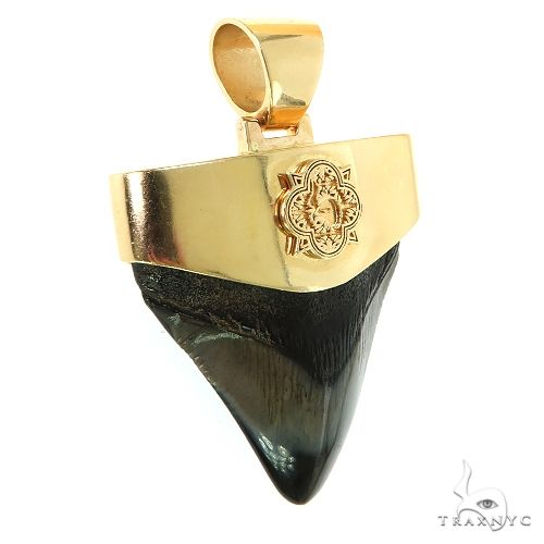 The Time Travel Megalodon Shark Tooth Pendant Small 68891 - Image 2