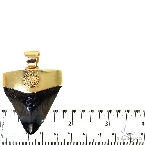 The Time Travel Megalodon Shark Tooth Pendant Small 68891 - Image 3