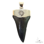The Time Travel Megalodon Shark Tooth Pendant Small 68892 - Image 1