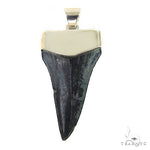 The Time Travel Megalodon Shark Tooth Pendant Small 68892 - Image 3