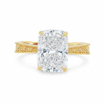 Willow Hidden Halo Engagement Ring 71137