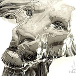 .925 Silver  Small African Lion Face Pendant 66467 - Image 4